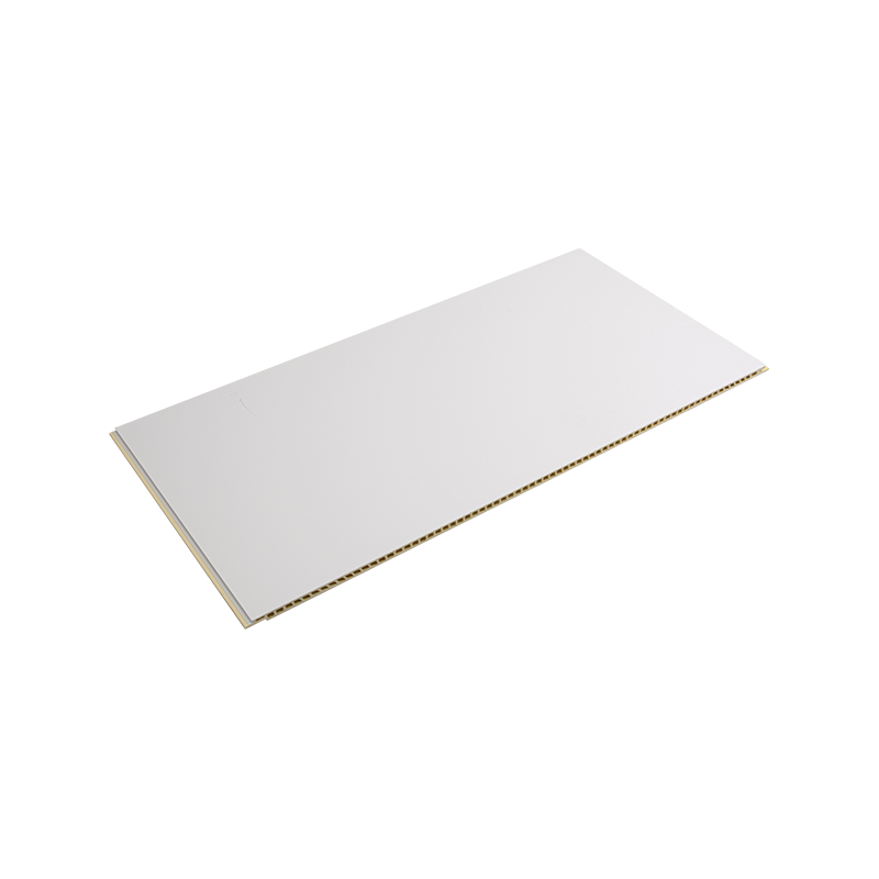 Isolerende energibesparende Nem at vedligeholde Wpc Composite vægpanel